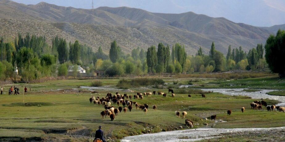 southern_shore_of_Issyk-Kul