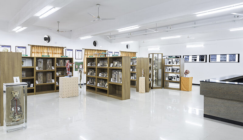 Anatomy_Museum_1
