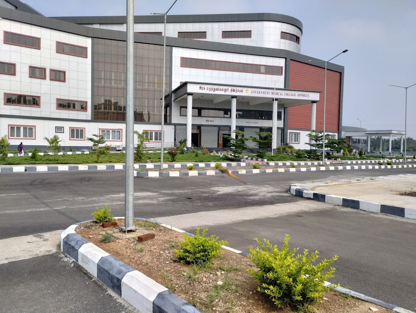 Government Medical College Dindigul Medical Colleges In Tamil Nadu 