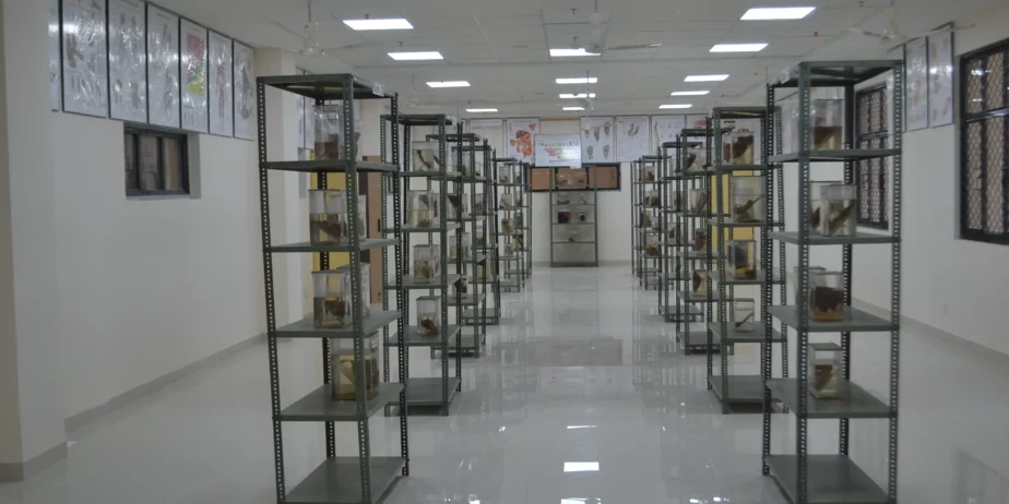 Government-Medical-College-Barmer-Rajasthan-1