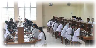 Government-Medical-College-Ernakulam-2