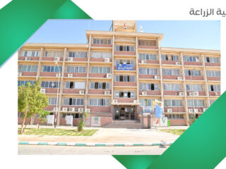 New-Valley-University-Faculty-of-Medicine-Kharga-2